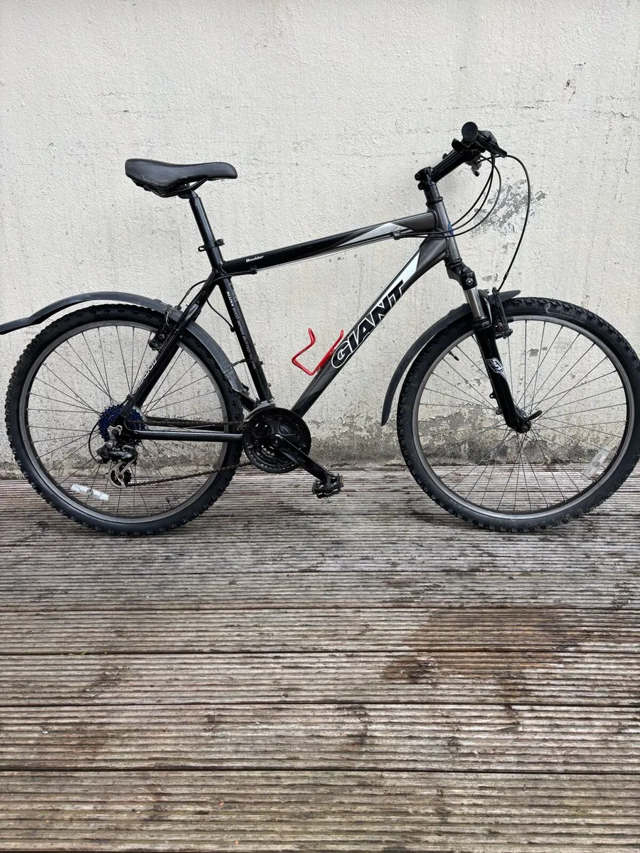 Adults bike giant M size - Image 1
