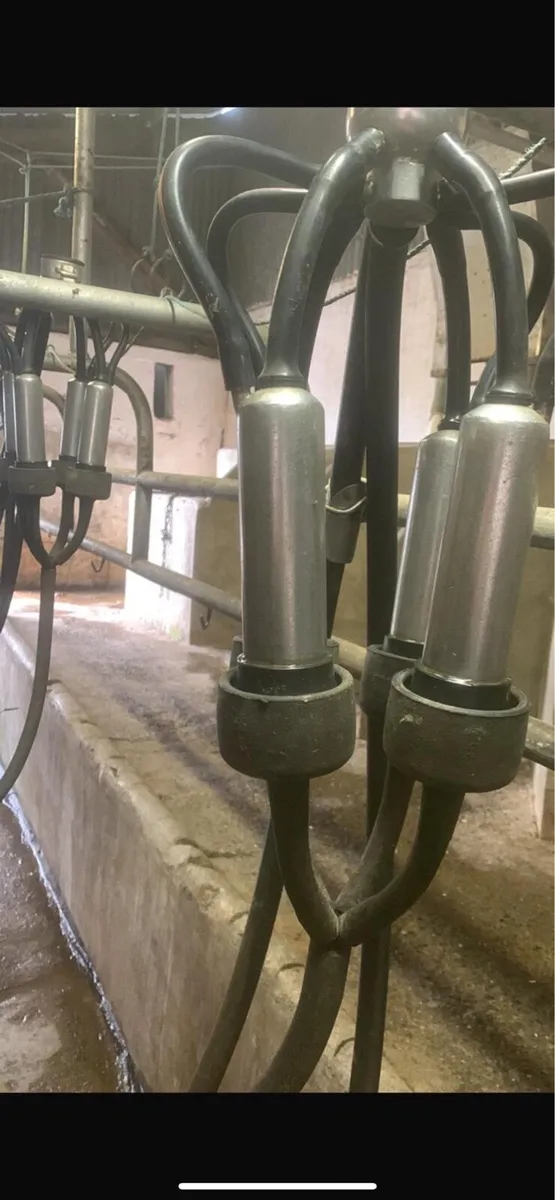 6 Unit Milking Parlour for sale - Image 2