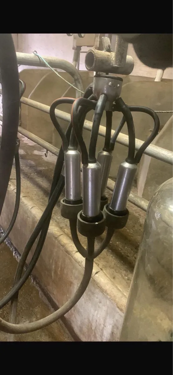 6 Unit Milking Parlour for sale - Image 4