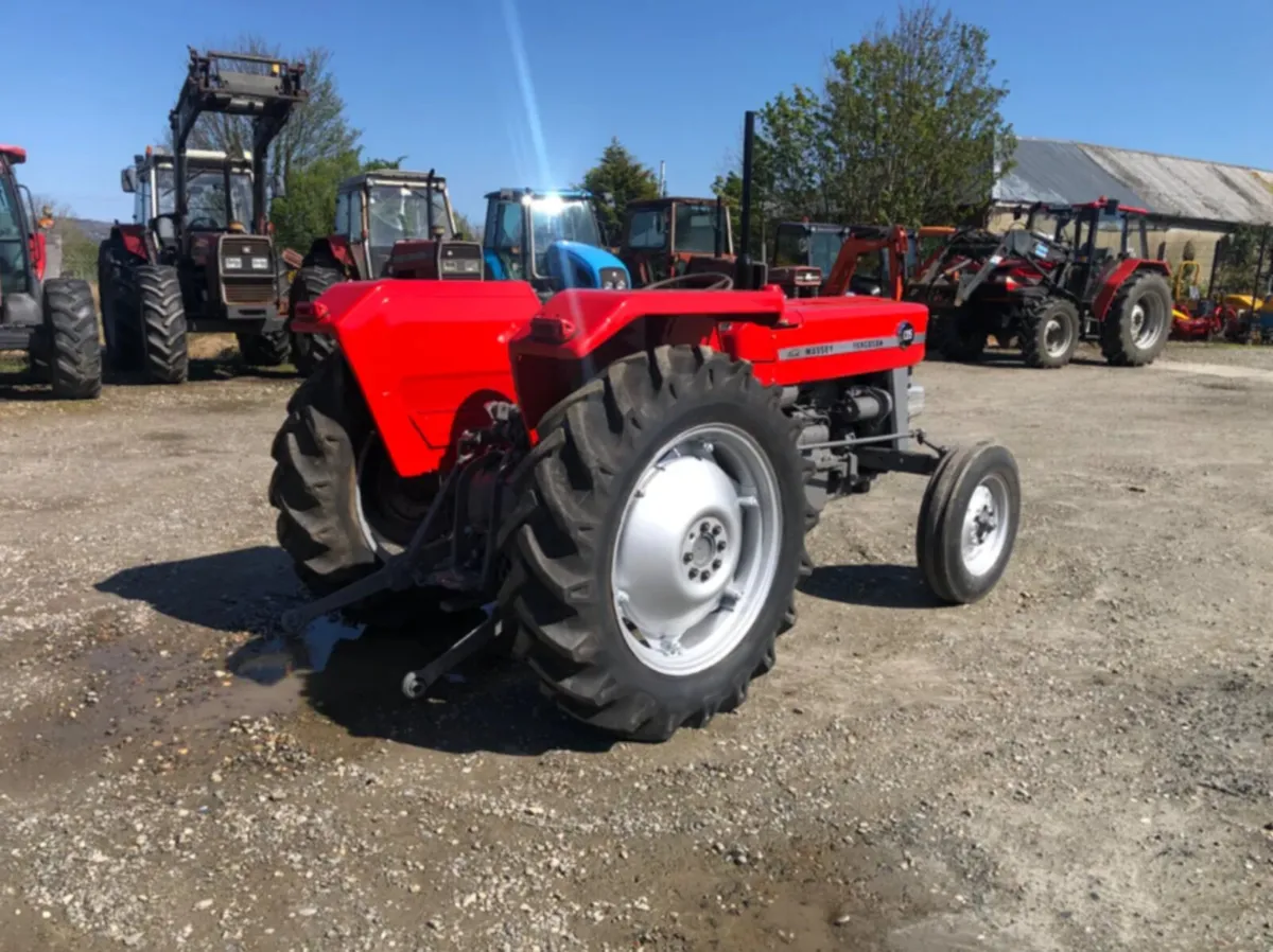 1972 Massey Ferguson 135 Straight Axle - Image 3