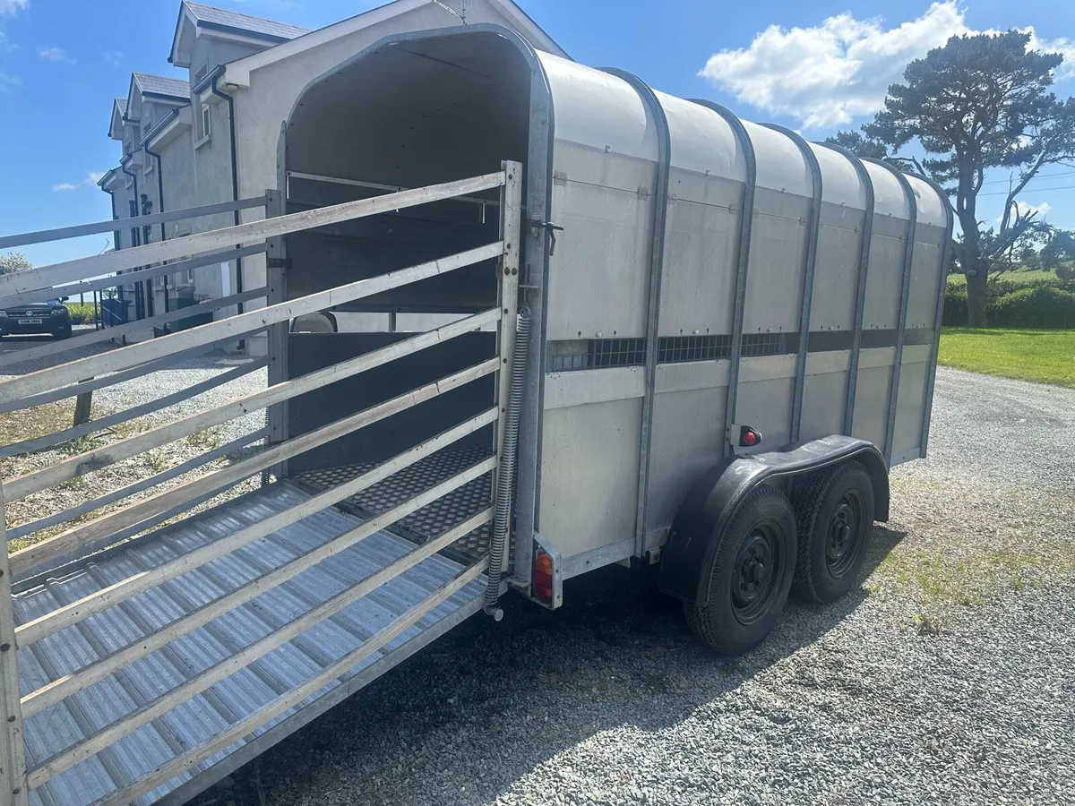 Cattle trailer/ Plant trailer - Image 1