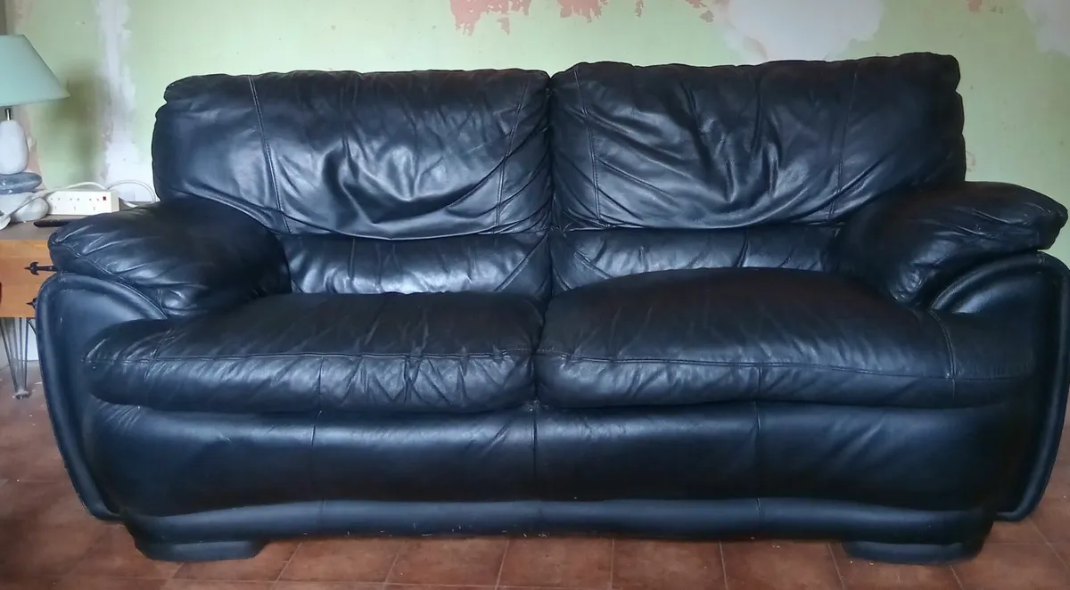 Leather suit FREE - Image 1