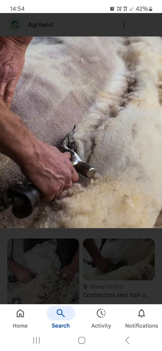 Shearing