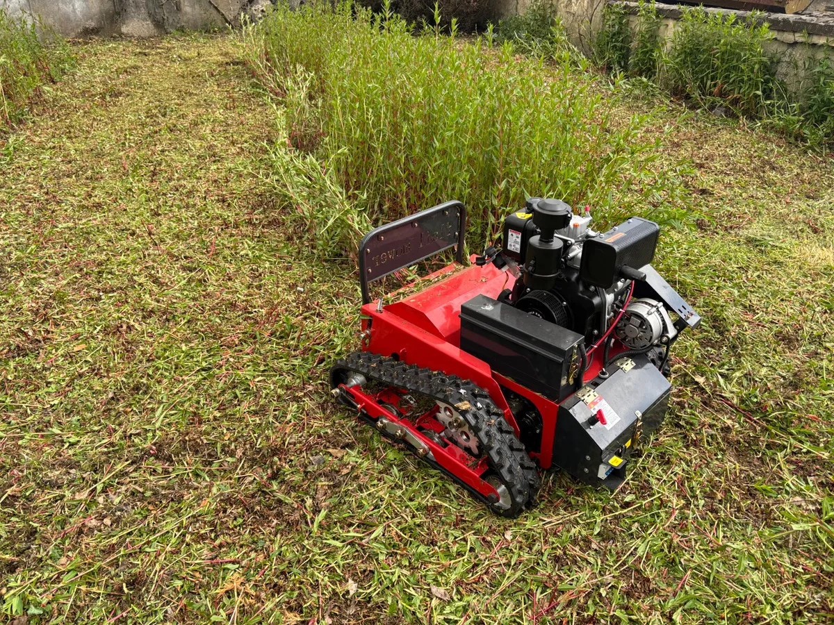 Lawnmower flail Remote Control - Image 1
