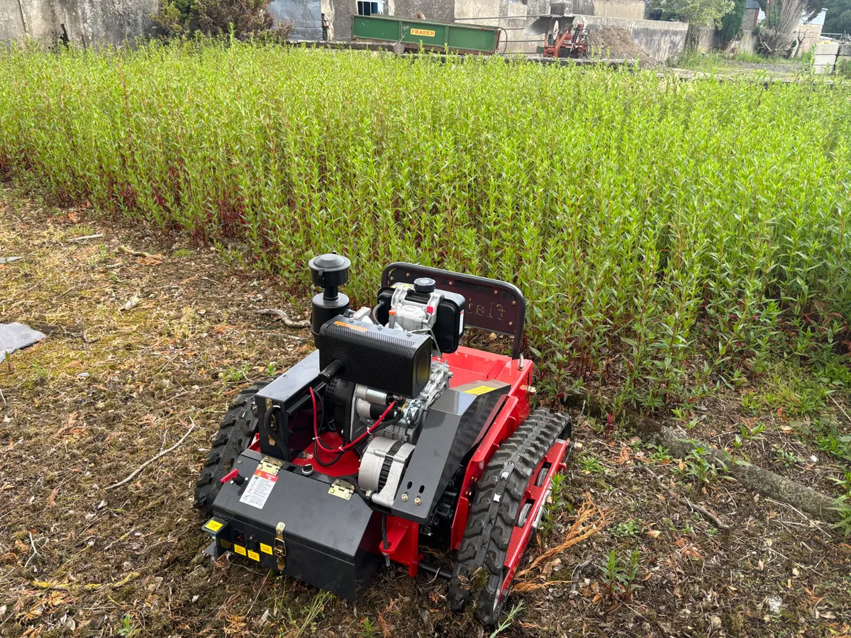 Lawnmower flail Remote Control - Image 4