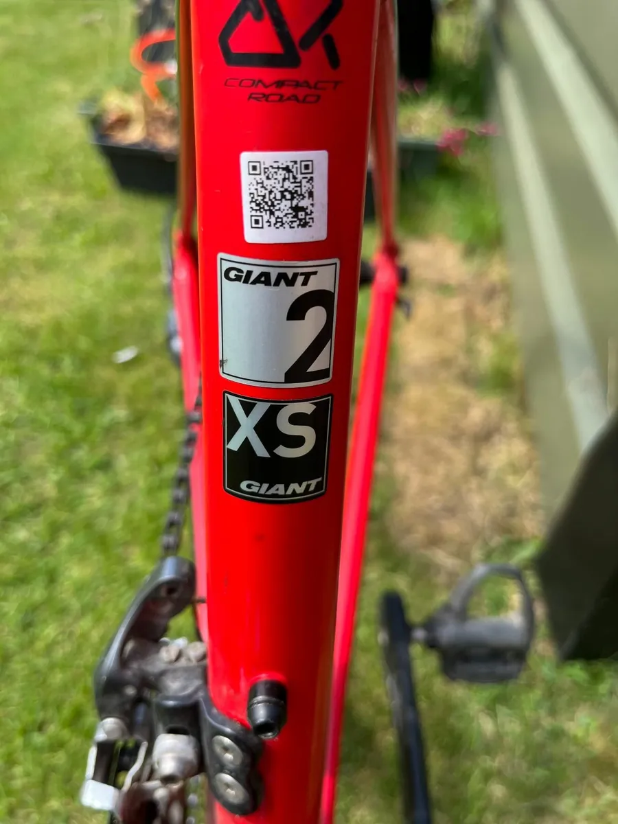 bike - Image 2
