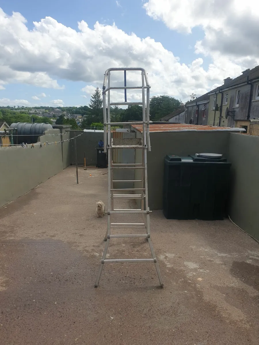 Ladder - Image 2