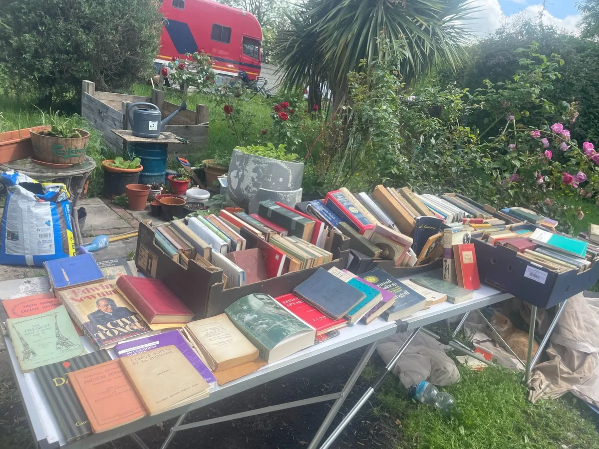 Antique  vintage books - Image 1