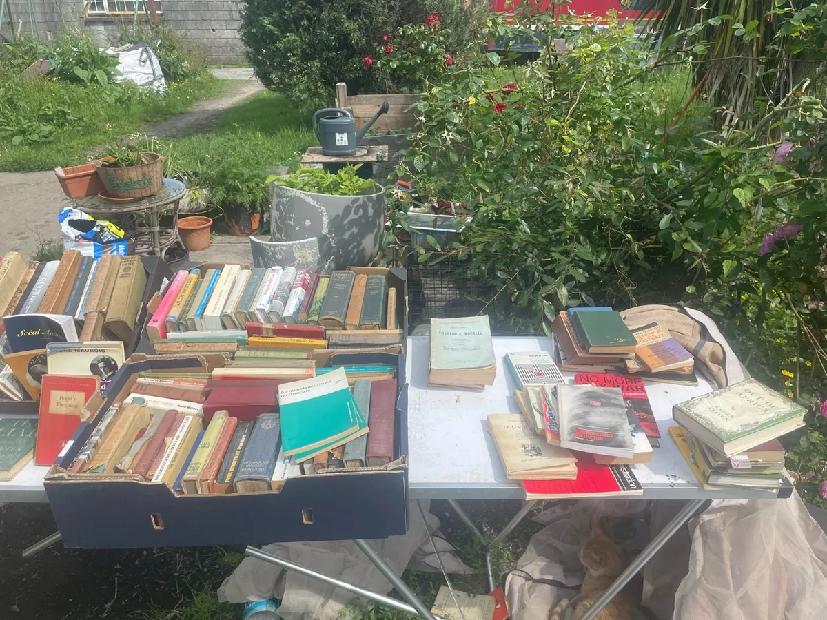 Antique  vintage books - Image 2