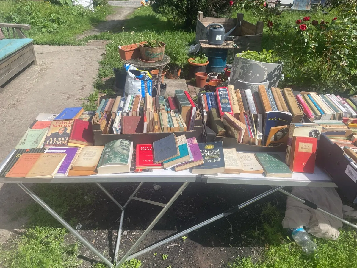 Antique  vintage books - Image 3