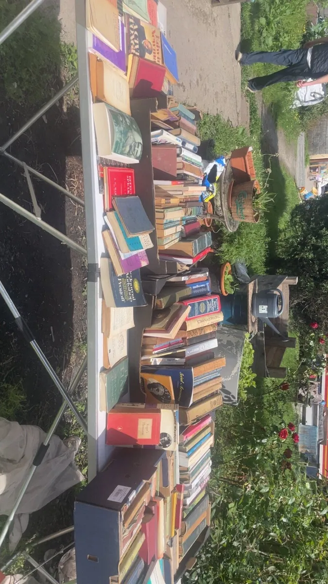 Antique  vintage books - Image 4