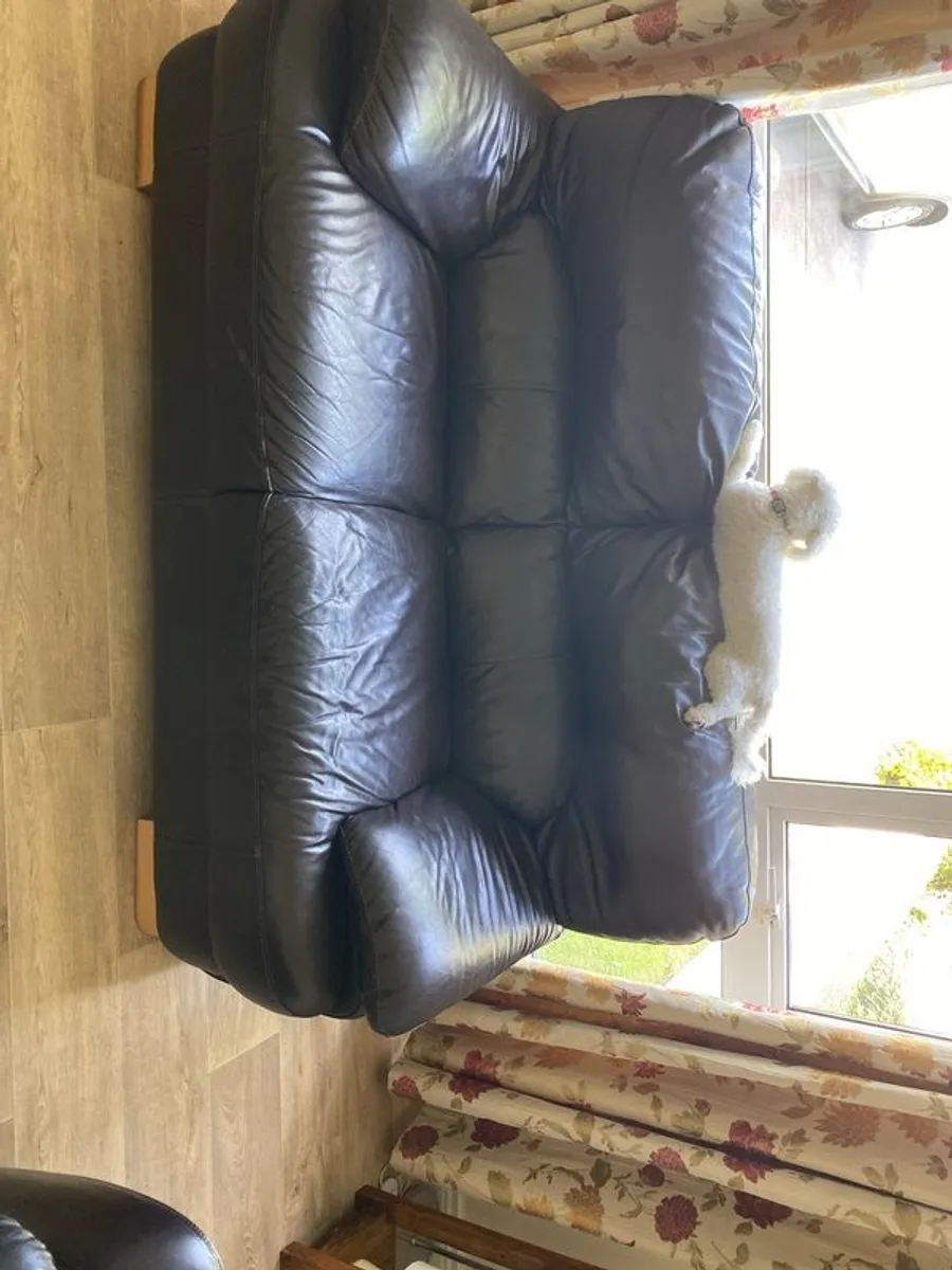 couches - Image 1