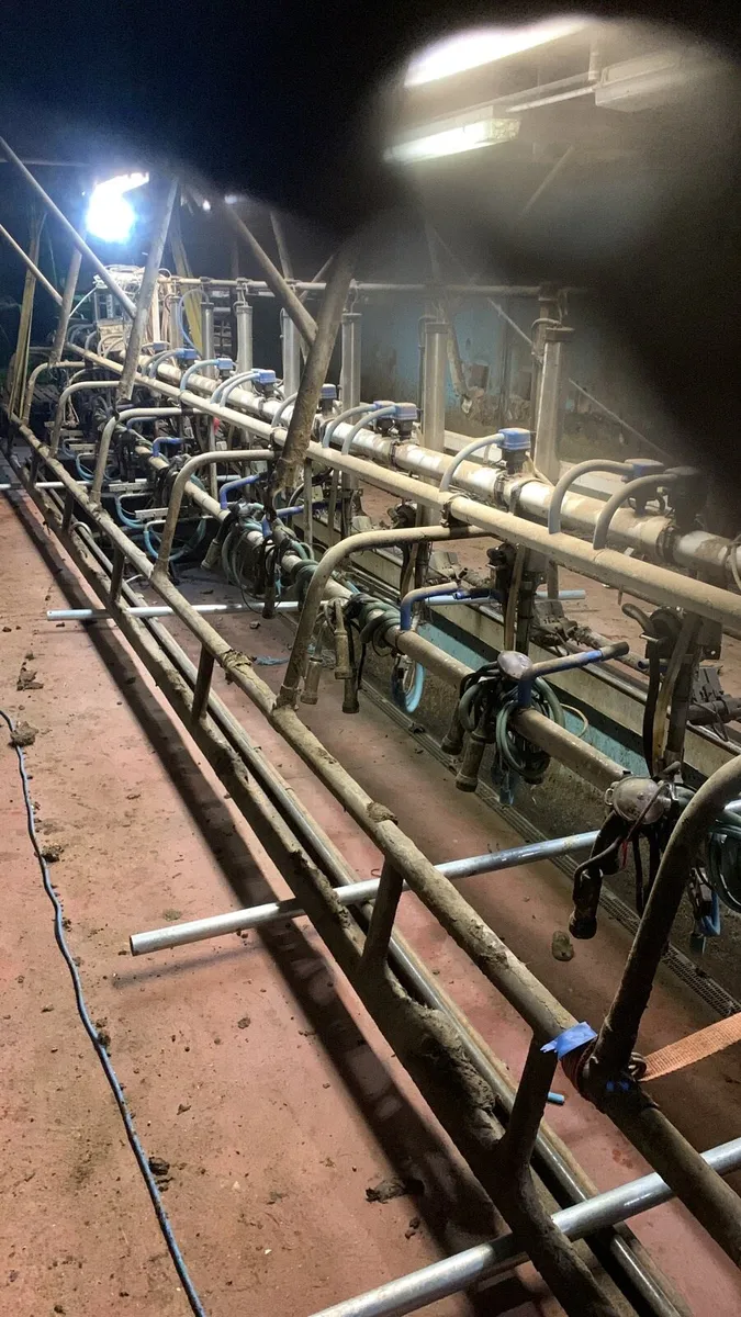 Milking parlour rentals
