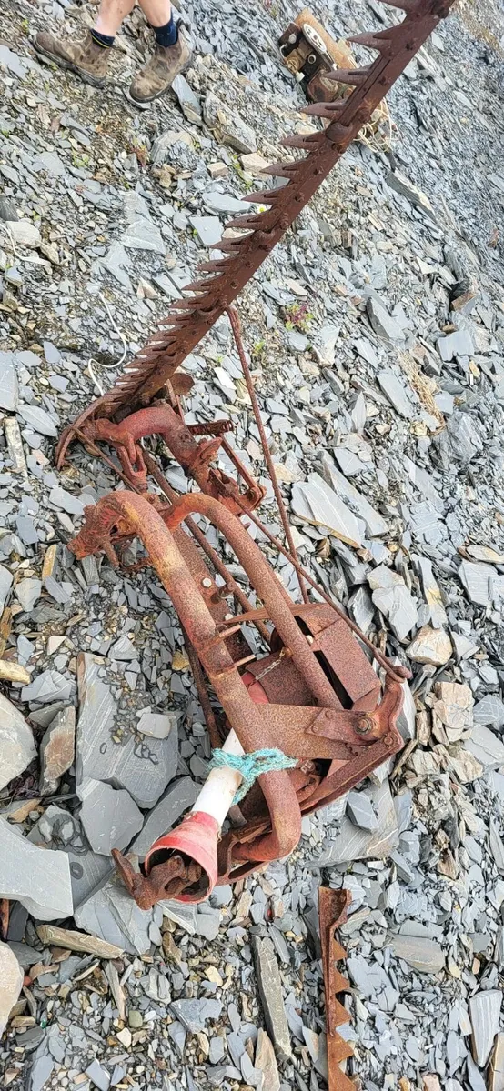 Massey ferguson - Image 4