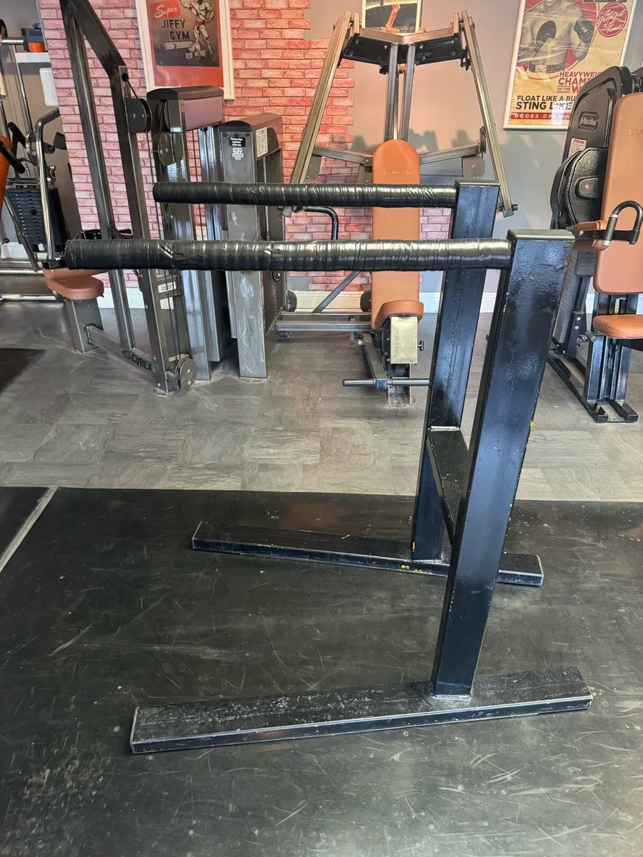 Tricep dips and calf raises - Image 1
