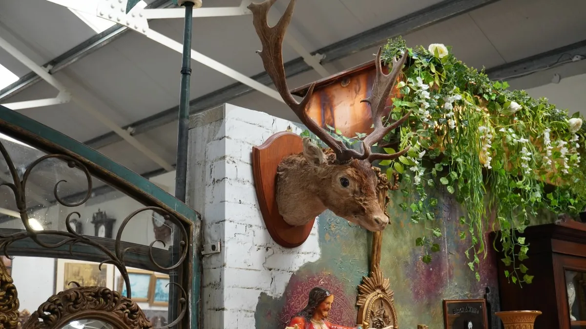 🦌 Mounted Deer Head - Image 1
