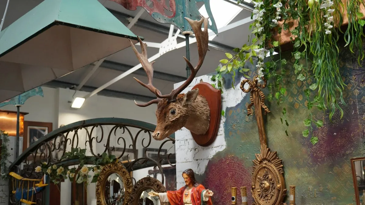 🦌 Mounted Deer Head - Image 3