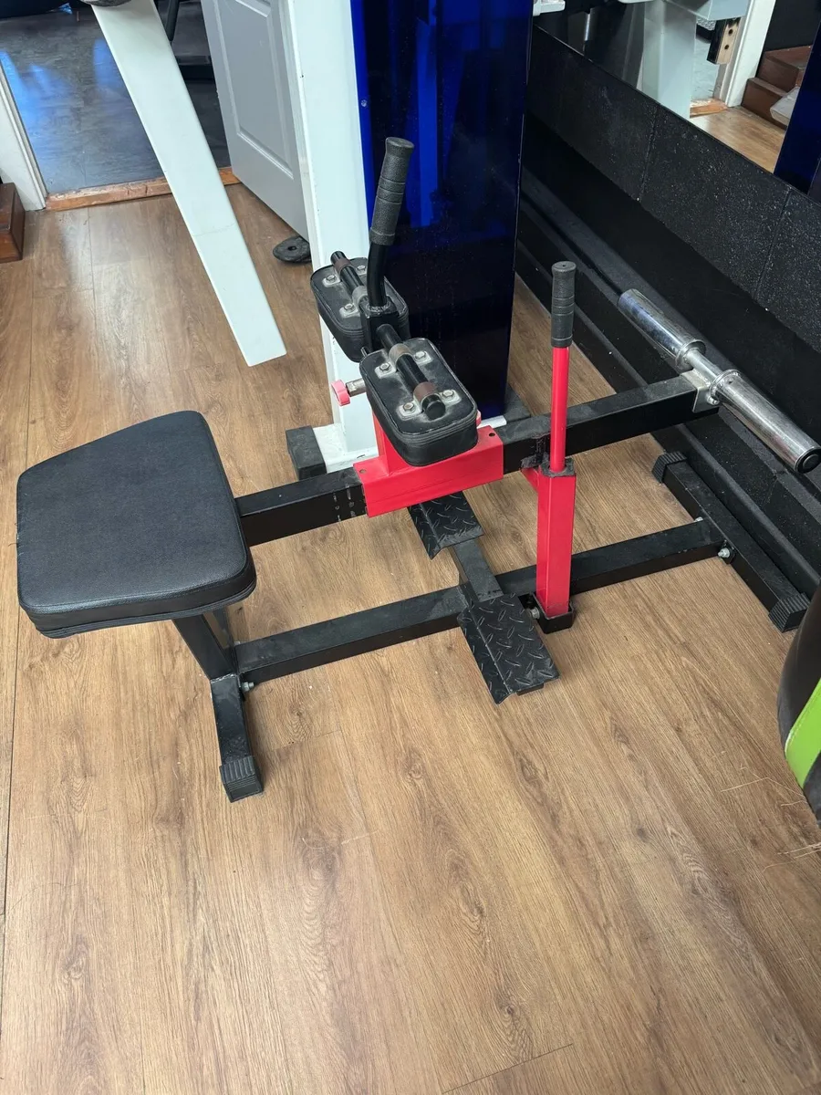 Tricep dips and calf raises - Image 3