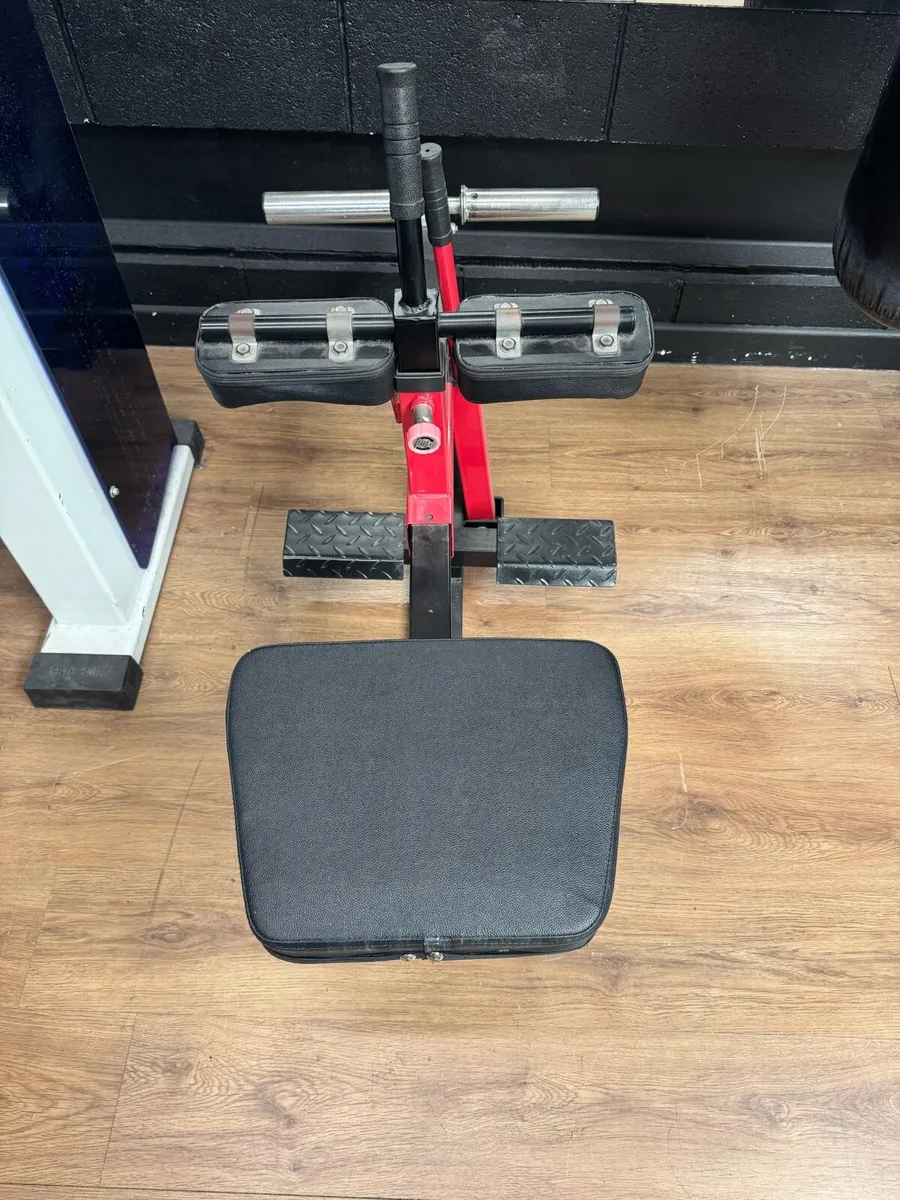Tricep dips and calf raises - Image 4