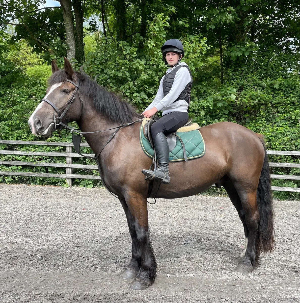 Genuine pleasure Ride - Image 1