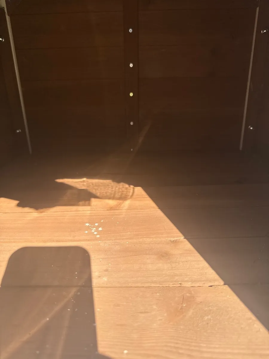 Dog box - Image 4