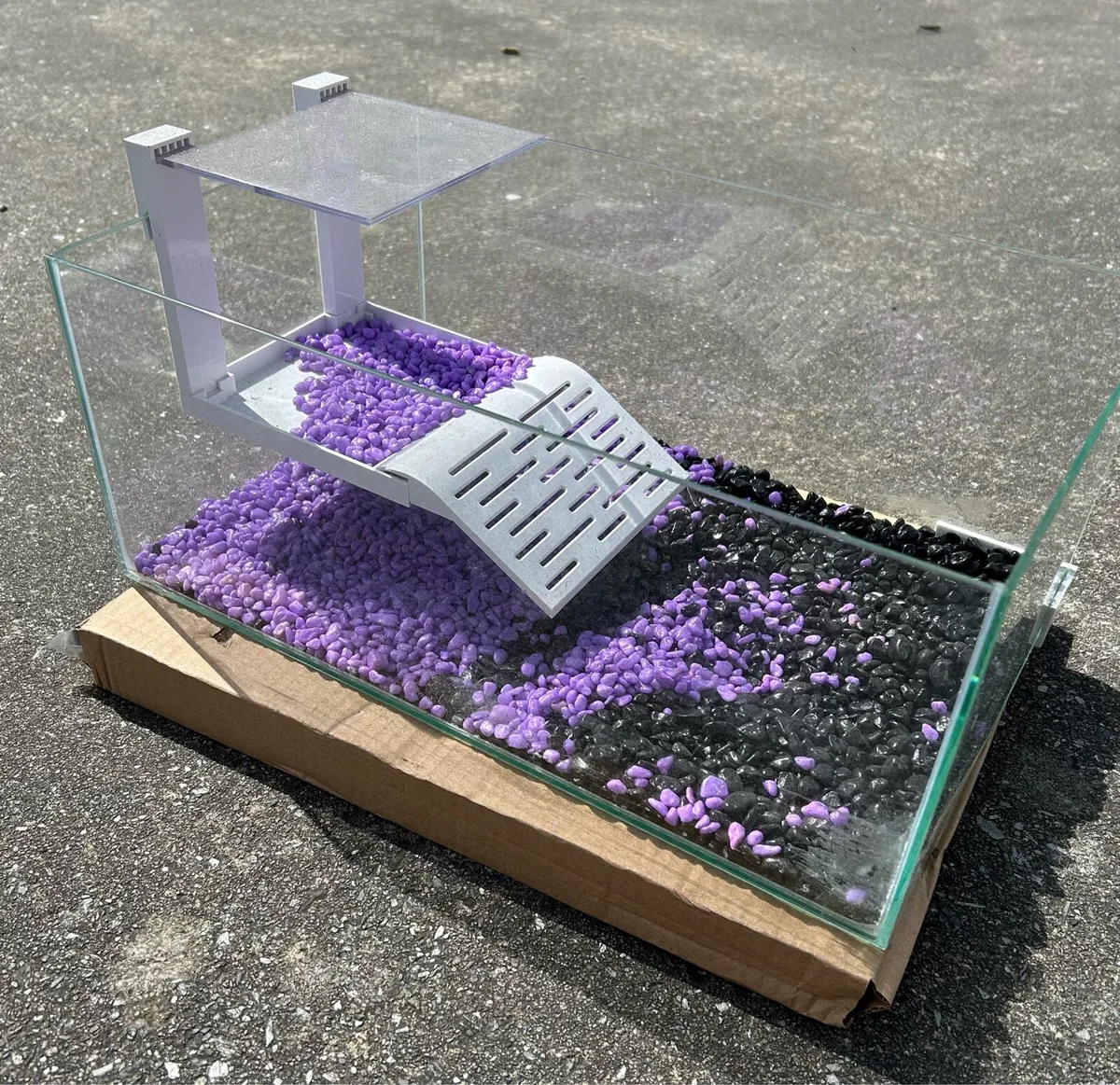 Glass turtle tank - Image 1