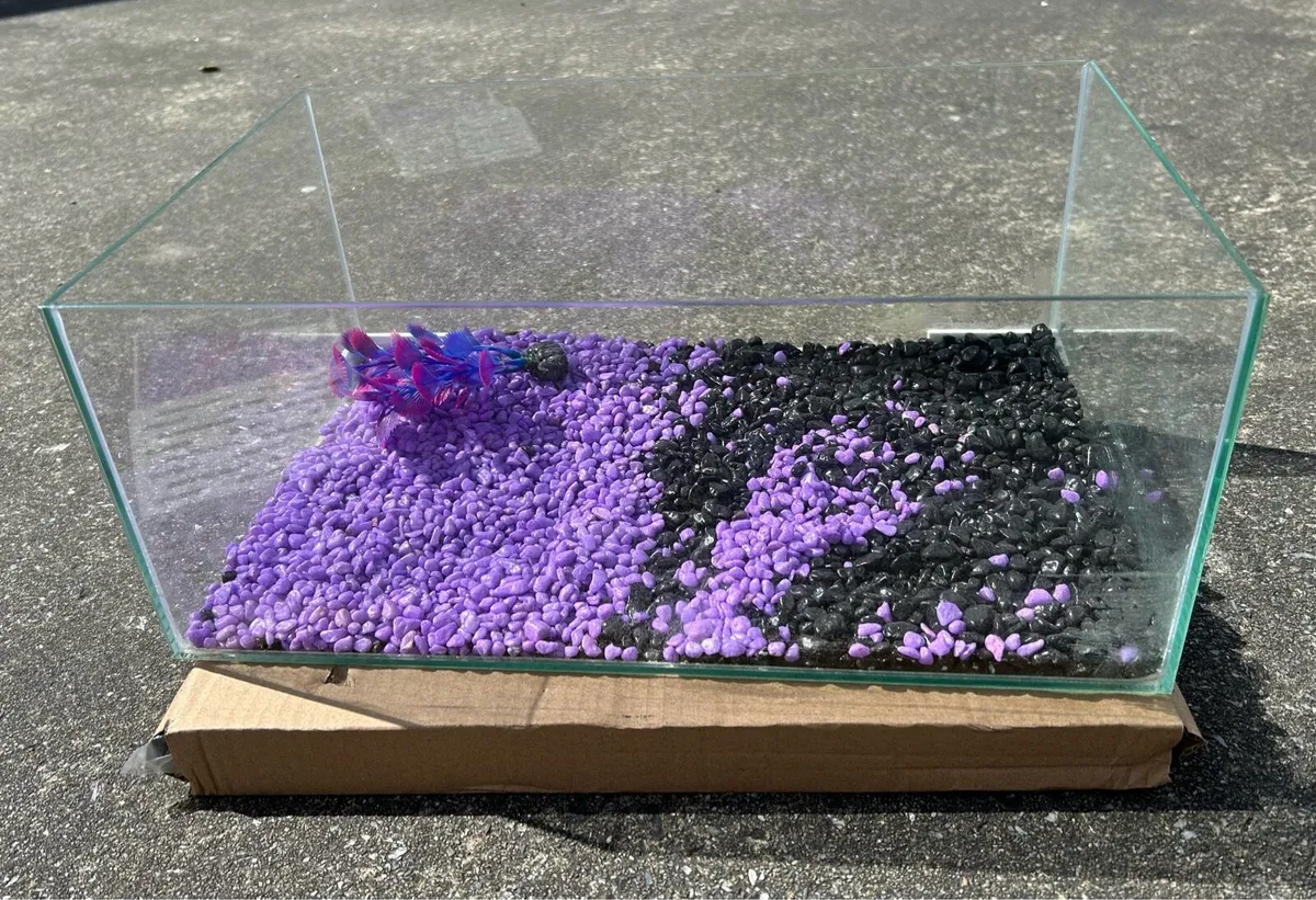 Glass turtle tank - Image 4