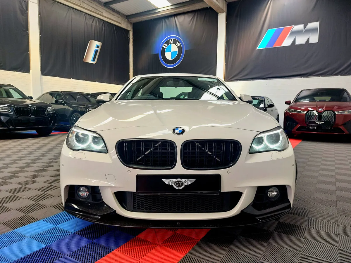 132 520D M SPORT - Image 2