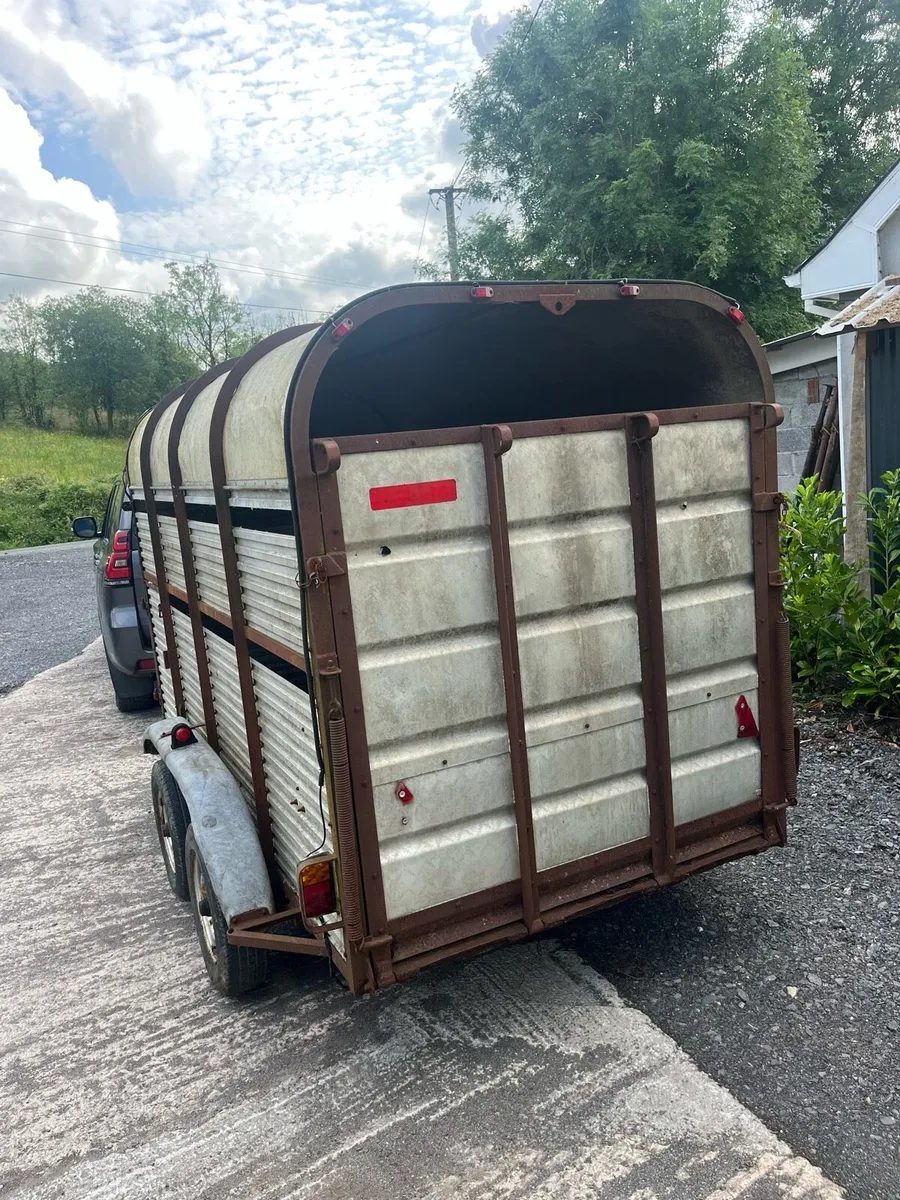 Cattle trailer - Image 3