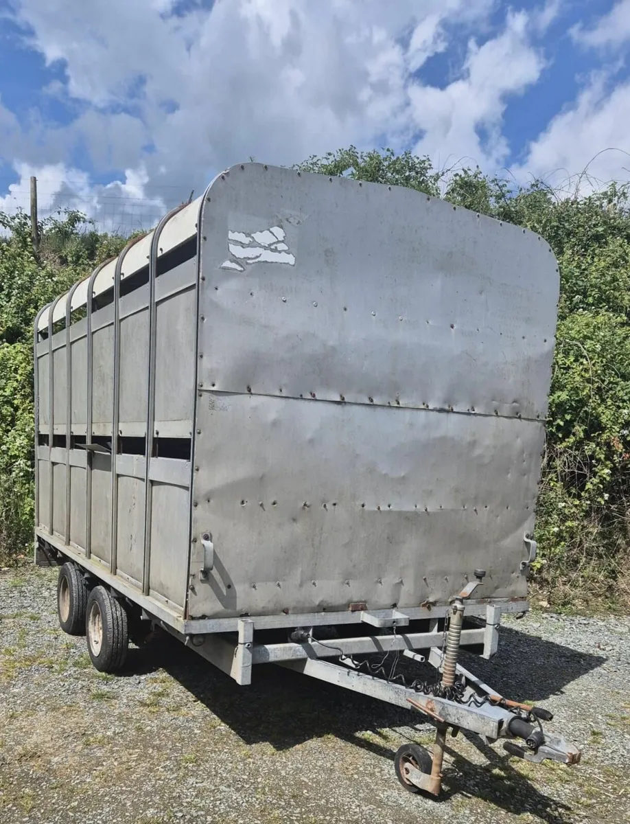 Ifor Williams 12 x 6,6 cattle trailer - Image 1