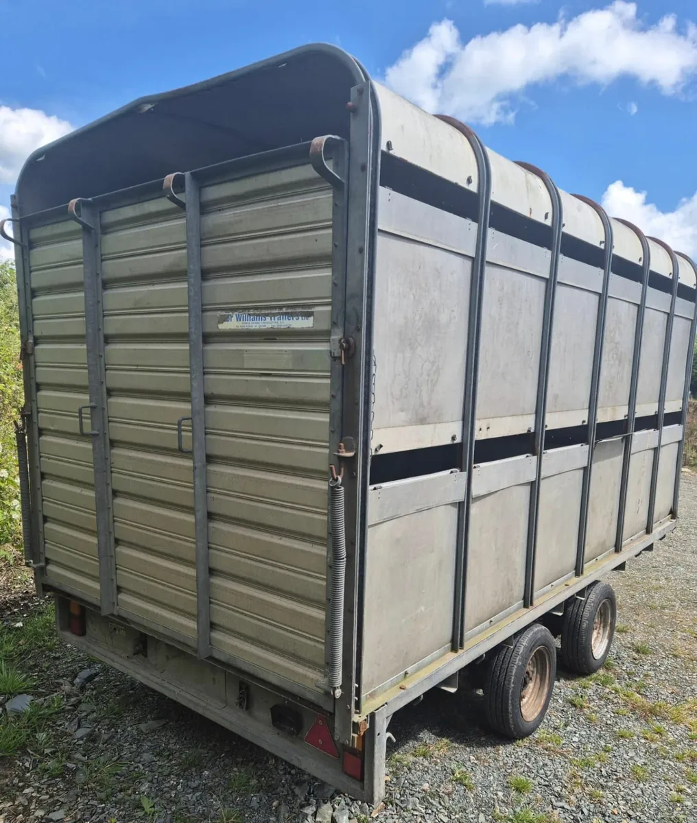 Ifor Williams 12 x 6,6 cattle trailer - Image 3