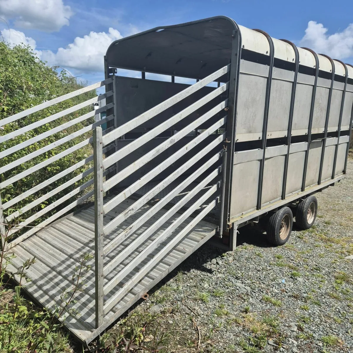 Ifor Williams 12 x 6,6 cattle trailer - Image 4