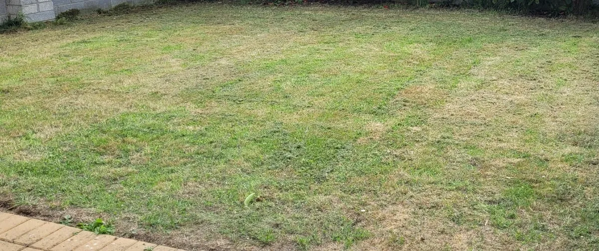 grass cutting service - Image 4