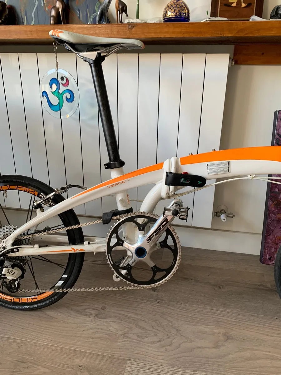 Bicycle Tern - Image 4