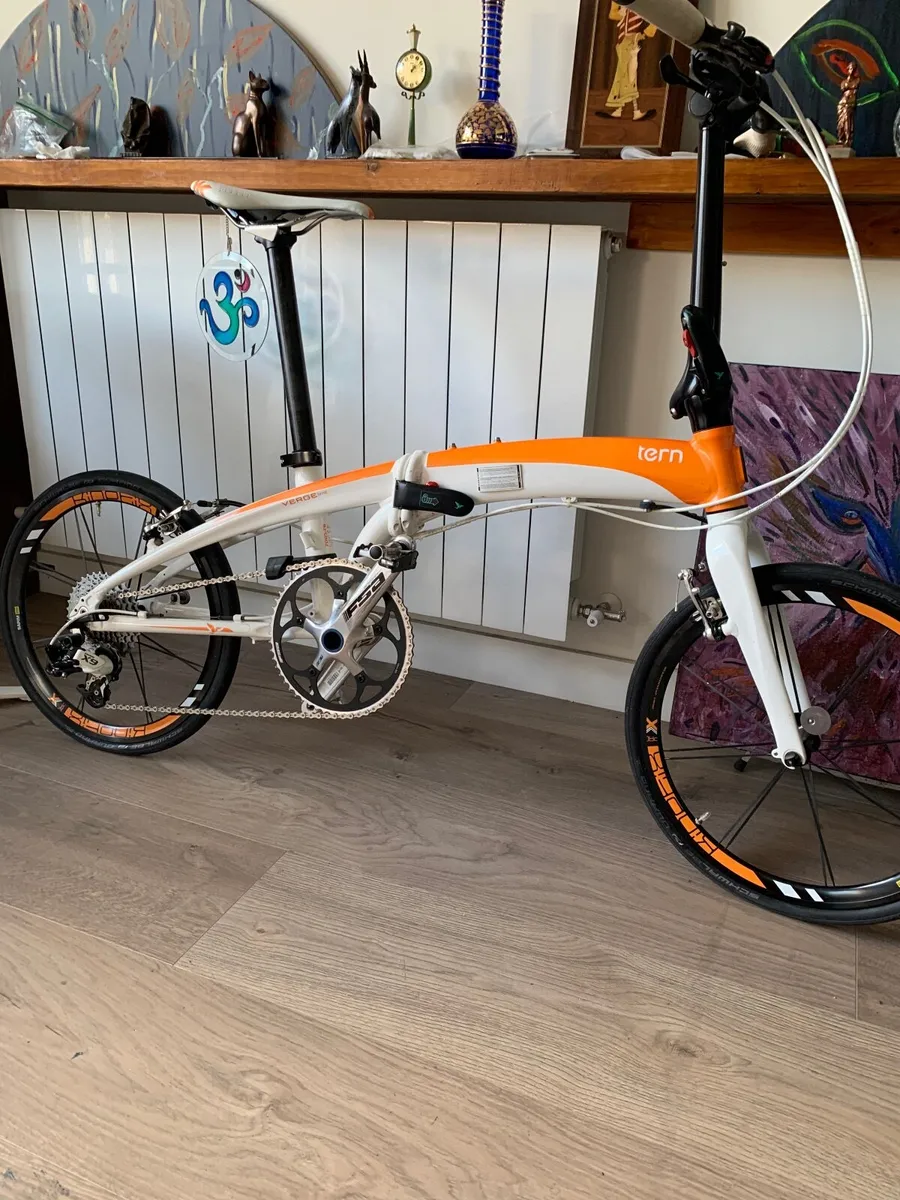 Bicycle Tern - Image 1