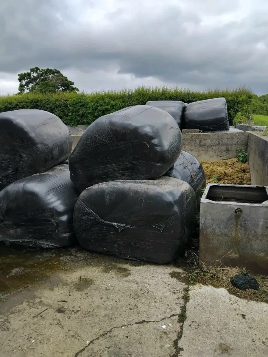 Silage bales