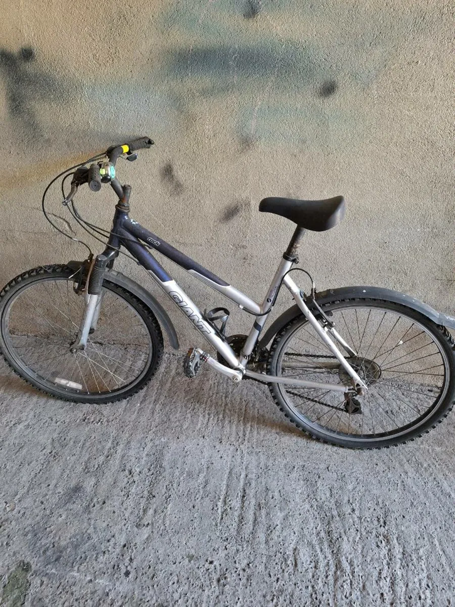Bicycle - Image 1
