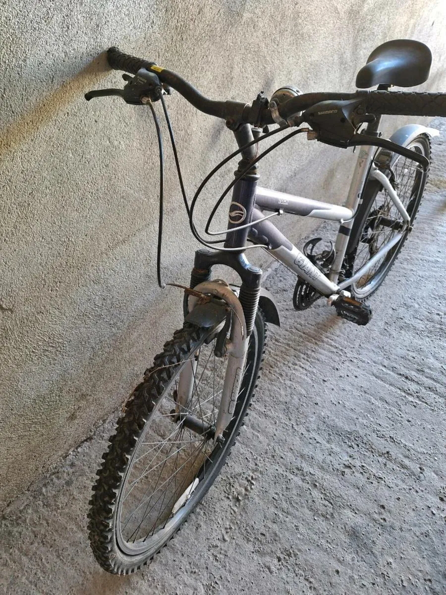 Bicycle - Image 2
