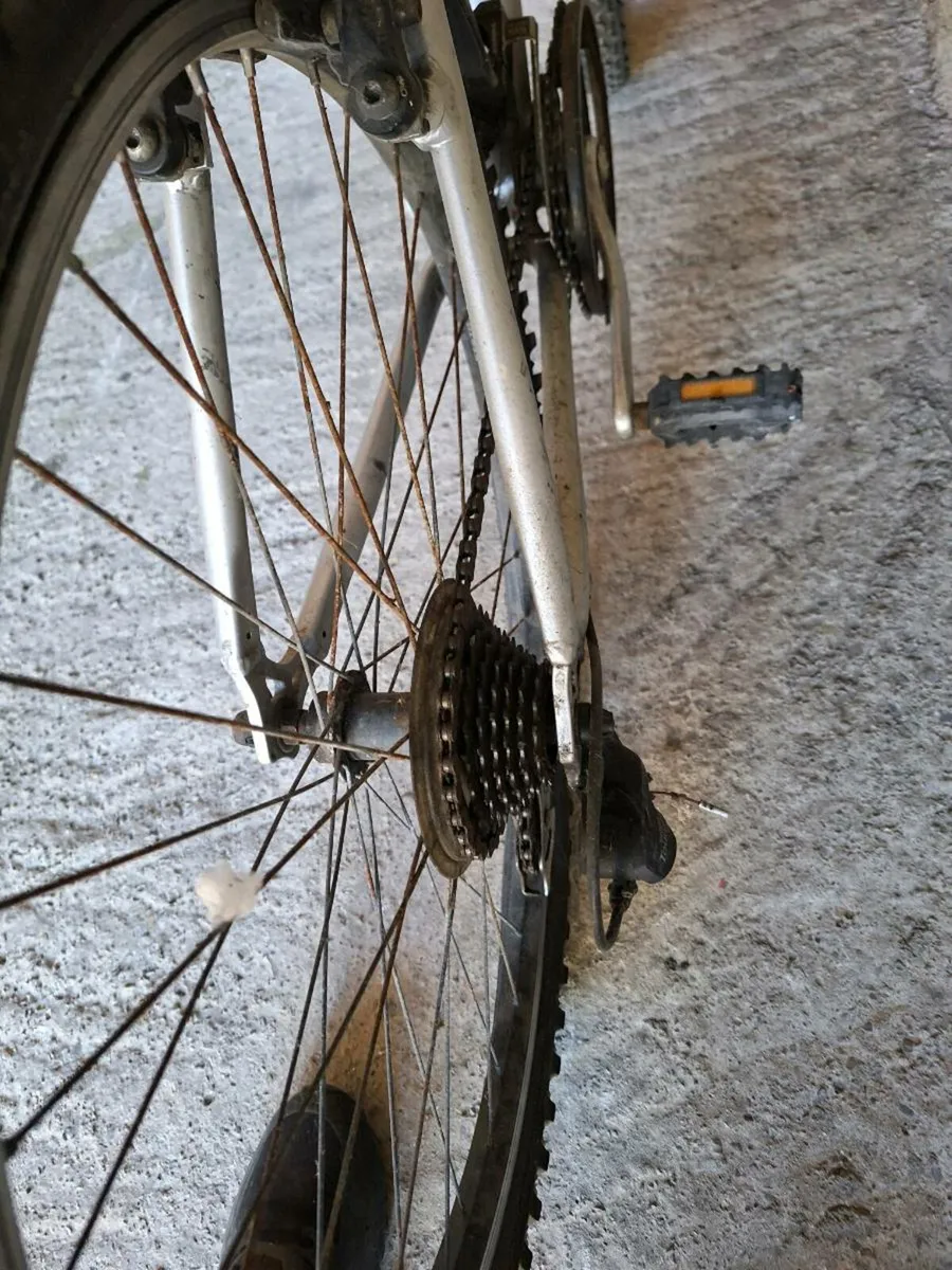 Bicycle - Image 4