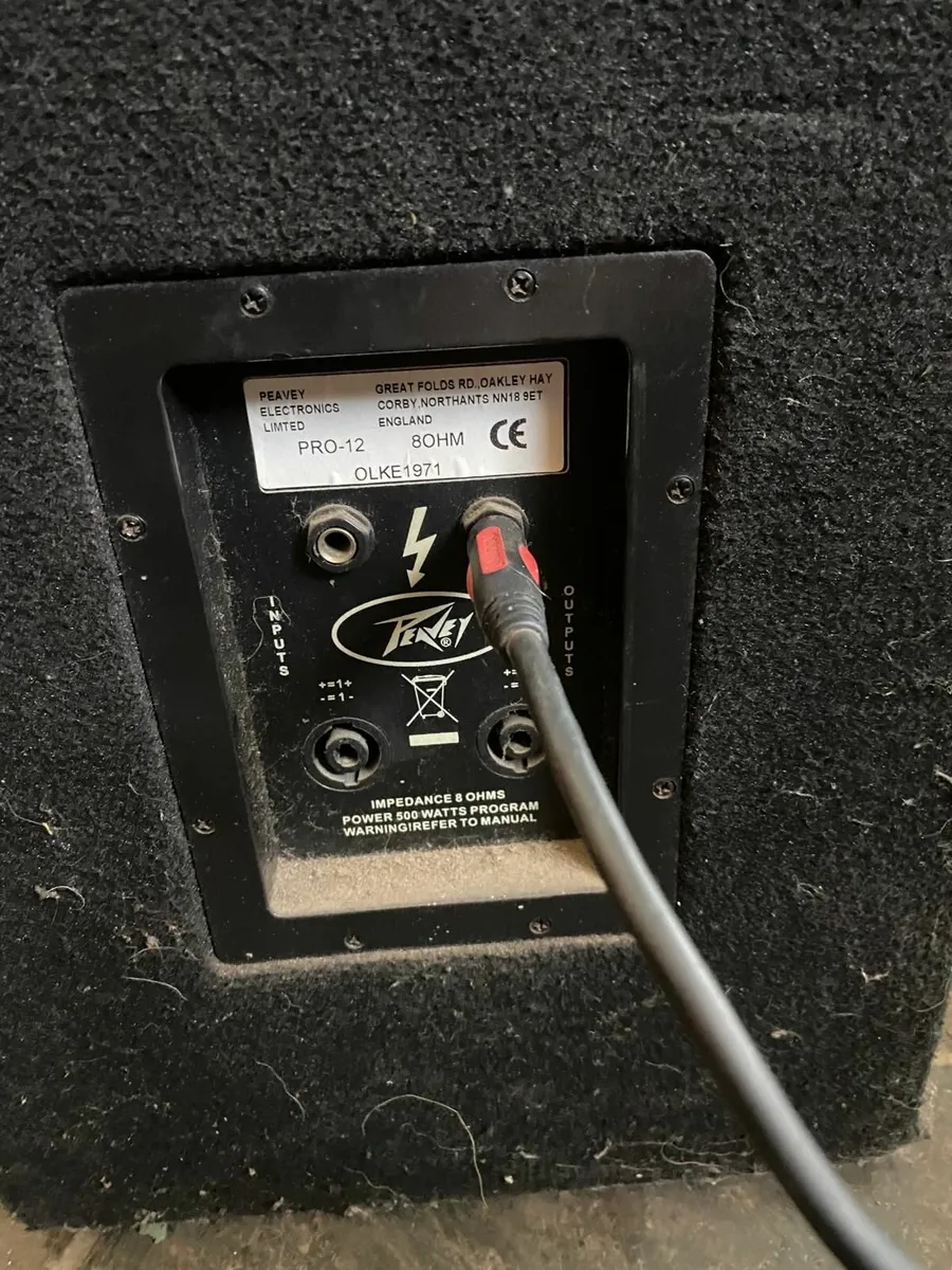 Peavey Amp and Speakers - Image 3