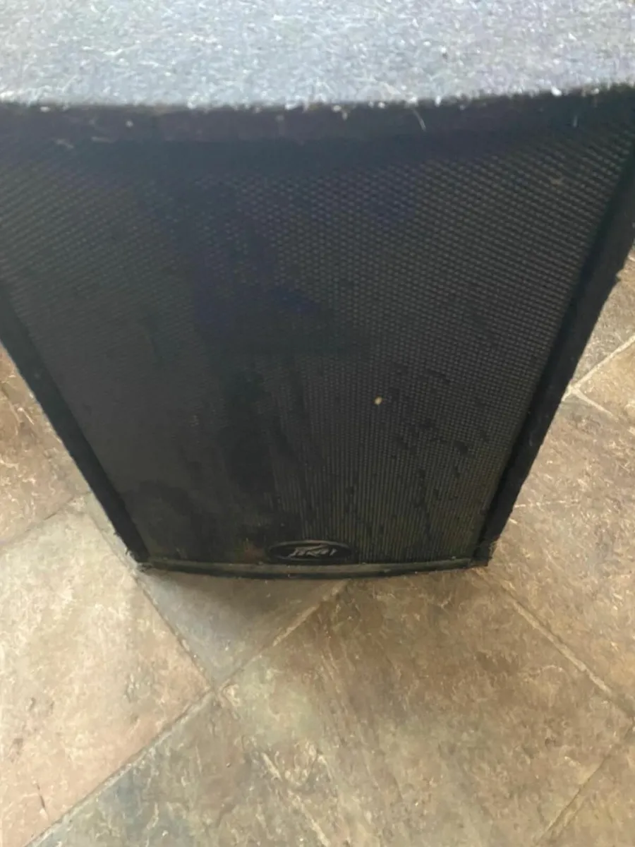 Peavey Amp and Speakers - Image 4