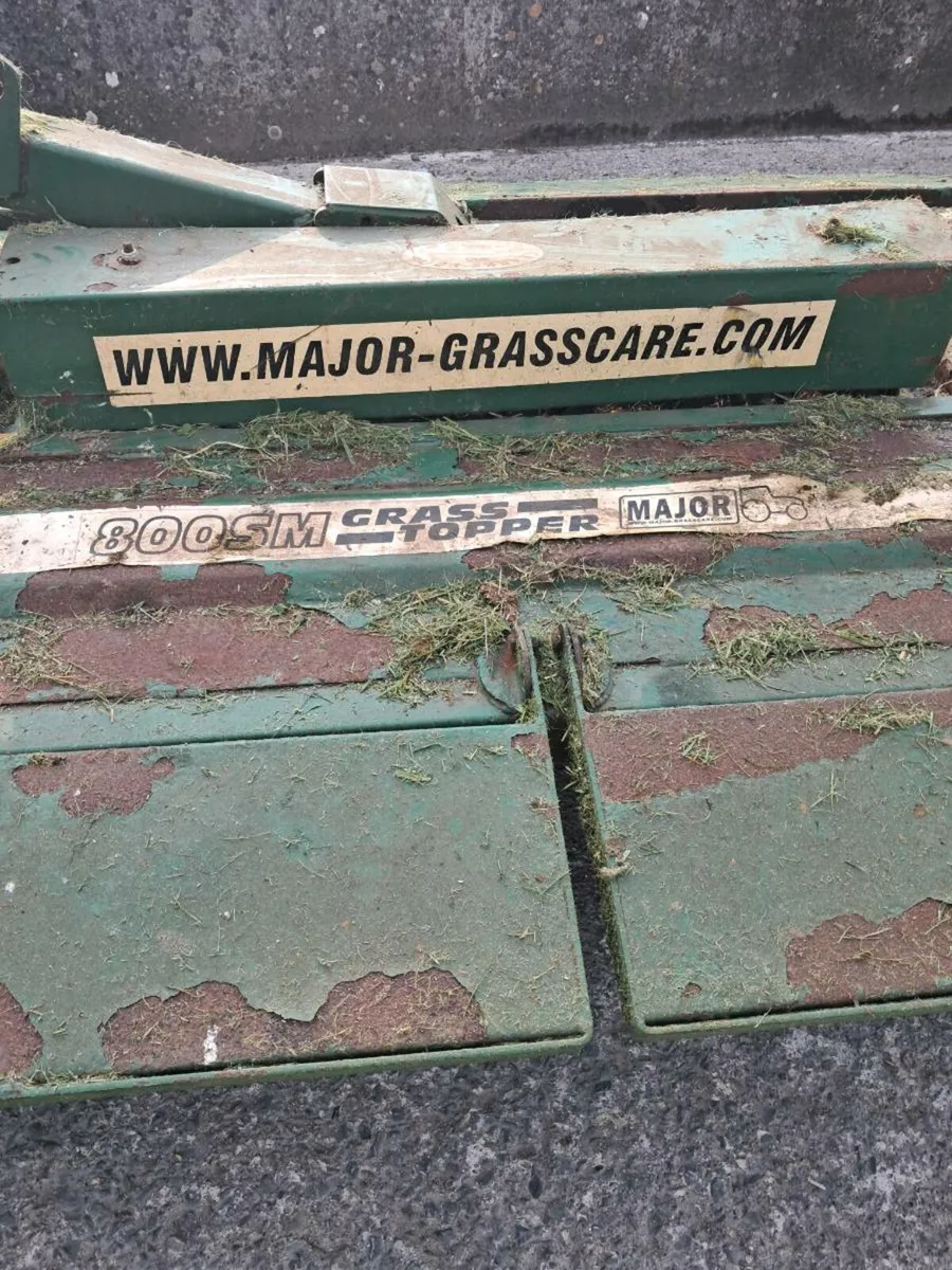 Major 800sm grass topper - Image 2