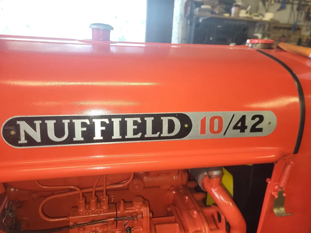 Neffield - Image 1
