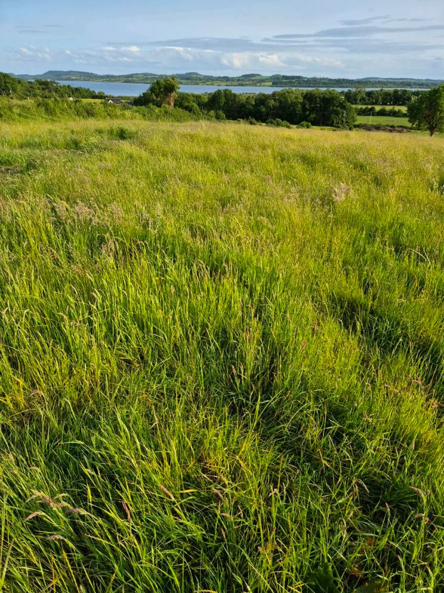 Silage ground - Image 1