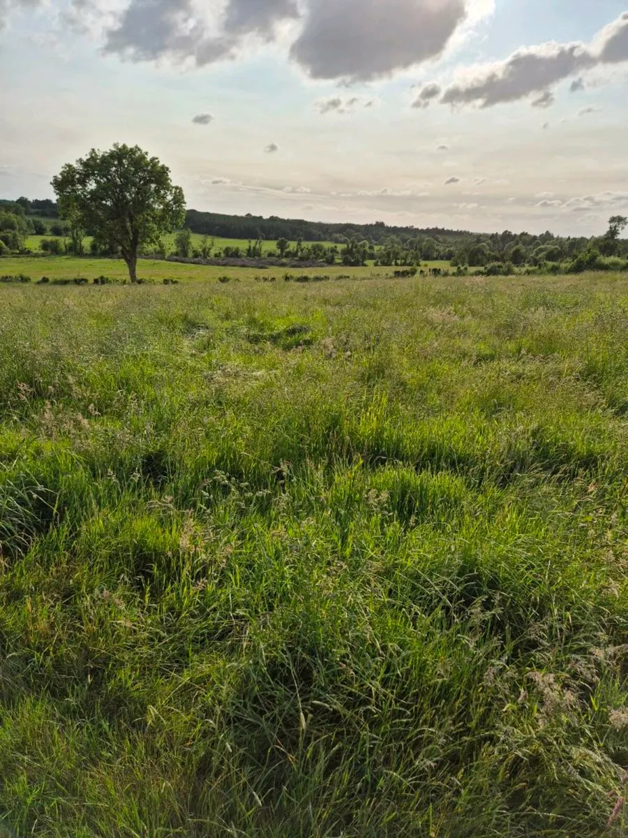 Silage ground - Image 4