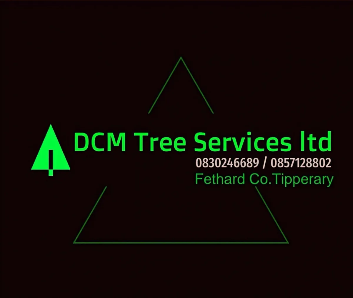 Tree surgeon - Image 1