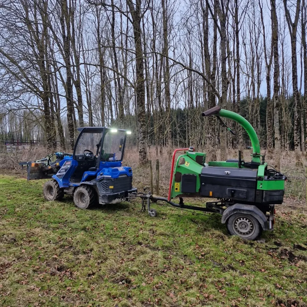 Tree surgeon - Image 2