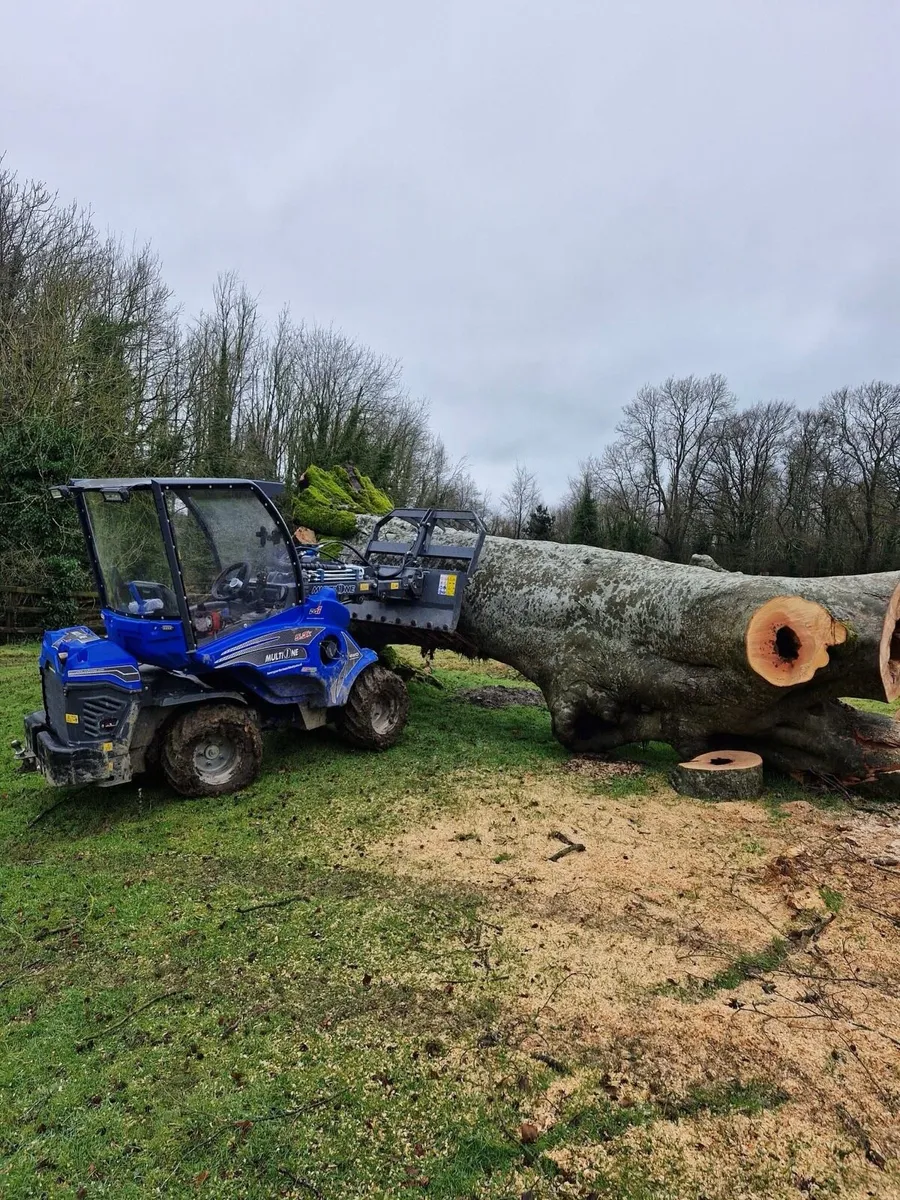 Tree surgeon - Image 3