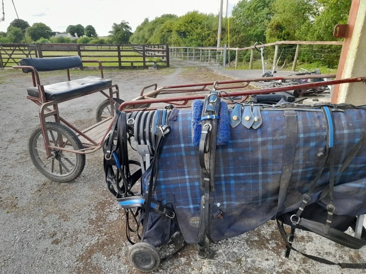 Cob to full size road cart - Image 2