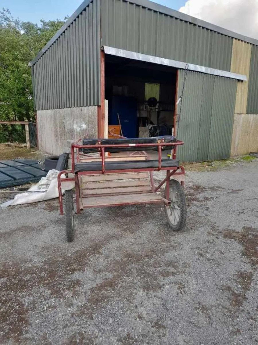 Cob to full size road cart - Image 3